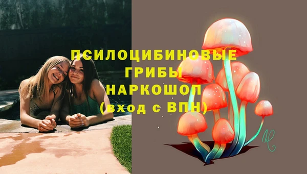 ALPHA-PVP Домодедово