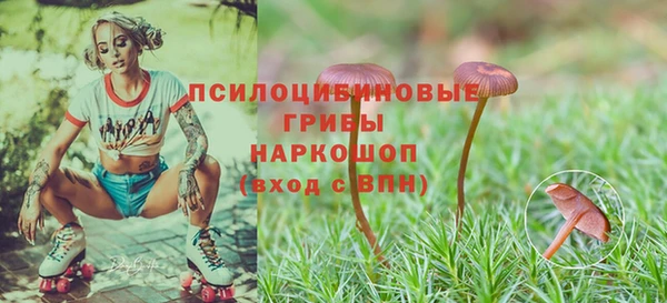 MESCALINE Майский
