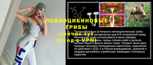ECSTASY Магас