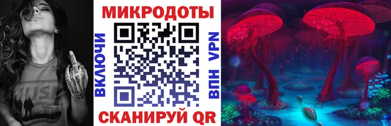 Псилоцибиновые грибы Psilocybe  Петровск-Забайкальский 
